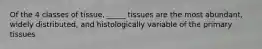 Of the 4 classes of tissue, _____ tissues are the most abundant, widely distributed, and histologically variable of the primary tissues