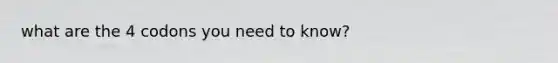 what are the 4 codons you need to know?