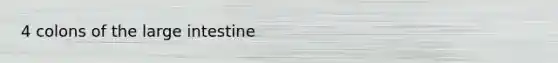 4 colons of the large intestine
