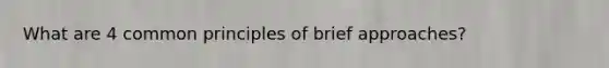 What are 4 common principles of brief approaches?