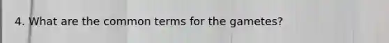 4. What are the common terms for the gametes?