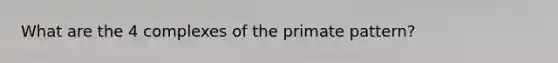 What are the 4 complexes of the primate pattern?