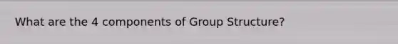 What are the 4 components of Group Structure?