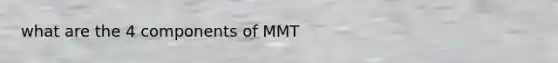 what are the 4 components of MMT