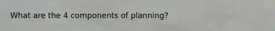 What are the 4 components of planning?