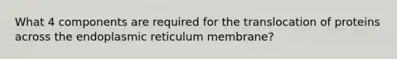 What 4 components are required for the translocation of proteins across the endoplasmic reticulum membrane?