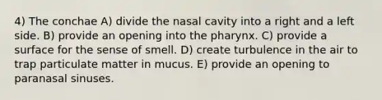 4) The conchae A) divide the nasal cavity into a right and a left side. B) provide an opening into the pharynx. C) provide a surface for the sense of smell. D) create turbulence in the air to trap particulate matter in mucus. E) provide an opening to paranasal sinuses.