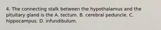 4. The connecting stalk between the hypothalamus and the pituitary gland is the A. tectum. B. cerebral peduncle. C. hippocampus. D. infundibulum.