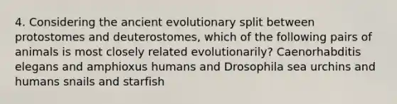 4. Considering the ancient evolutionary split between protostomes and deuterostomes, which of the following pairs of animals is most closely related evolutionarily? Caenorhabditis elegans and amphioxus humans and Drosophila sea urchins and humans snails and starfish