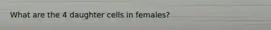 What are the 4 daughter cells in females?