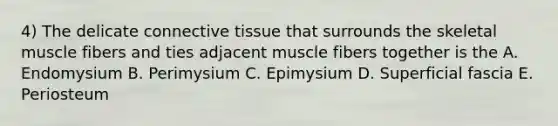 4) The delicate connective tissue that surrounds the skeletal muscle fibers and ties adjacent muscle fibers together is the A. Endomysium B. Perimysium C. Epimysium D. Superficial fascia E. Periosteum