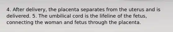 4. After delivery, the placenta separates from the uterus and is delivered. 5. The umbilical cord is the lifeline of the fetus, connecting the woman and fetus through the placenta.