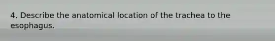 4. Describe the anatomical location of the trachea to the esophagus.