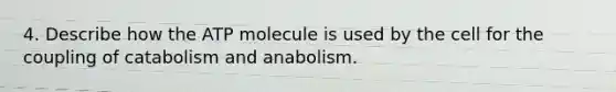 4. Describe how the ATP molecule is used by the cell for the coupling of catabolism and anabolism.