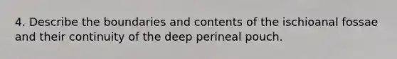 4. Describe the boundaries and contents of the ischioanal fossae and their continuity of the deep perineal pouch.