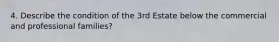 4. Describe the condition of the 3rd Estate below the commercial and professional families?