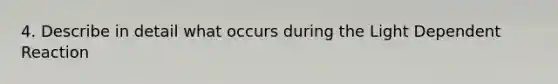 4. Describe in detail what occurs during the Light Dependent Reaction