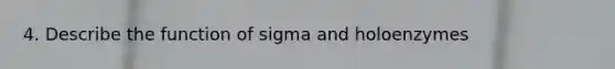 4. Describe the function of sigma and holoenzymes