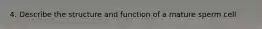 4. Describe the structure and function of a mature sperm cell