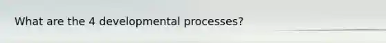 What are the 4 developmental processes?