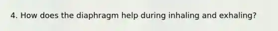 4. How does the diaphragm help during inhaling and exhaling?