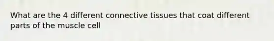 What are the 4 different connective tissues that coat different parts of the muscle cell