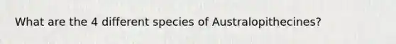 What are the 4 different species of Australopithecines?