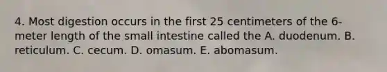 4. Most digestion occurs in the first 25 centimeters of the 6-meter length of the small intestine called the A. duodenum. B. reticulum. C. cecum. D. omasum. E. abomasum.