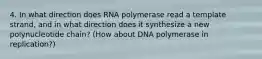 4. In what direction does RNA polymerase read a template strand, and in what direction does it synthesize a new polynucleotide chain? (How about DNA polymerase in replication?)