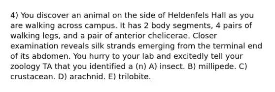 4) You discover an animal on the side of Heldenfels Hall as you are walking across campus. It has 2 body segments, 4 pairs of walking legs, and a pair of anterior chelicerae. Closer examination reveals silk strands emerging from the terminal end of its abdomen. You hurry to your lab and excitedly tell your zoology TA that you identified a (n) A) insect. B) millipede. C) crustacean. D) arachnid. E) trilobite.