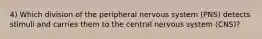 4) Which division of the peripheral nervous system (PNS) detects stimuli and carries them to the central nervous system (CNS)?