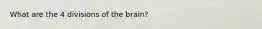 What are the 4 divisions of the brain?