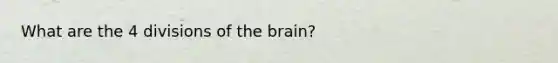 What are the 4 divisions of the brain?