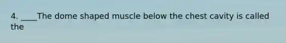 4. ____The dome shaped muscle below the chest cavity is called the