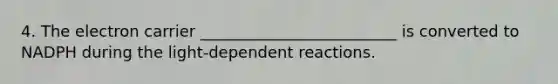 4. The electron carrier _________________________ is converted to NADPH during the light-dependent reactions.