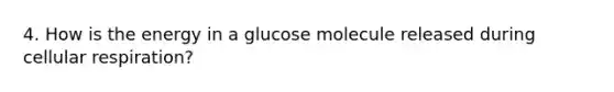 4. How is the energy in a glucose molecule released during cellular respiration?