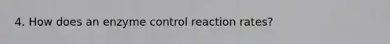 4. How does an enzyme control reaction rates?