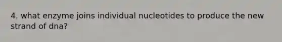 4. what enzyme joins individual nucleotides to produce the new strand of dna?