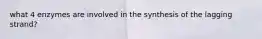 what 4 enzymes are involved in the synthesis of the lagging strand?