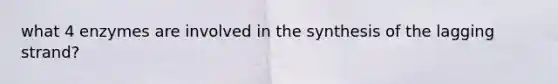 what 4 enzymes are involved in the synthesis of the lagging strand?