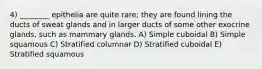 4) ________ epithelia are quite rare; they are found lining the ducts of sweat glands and in larger ducts of some other exocrine glands, such as mammary glands. A) Simple cuboidal B) Simple squamous C) Stratified columnar D) Stratified cuboidal E) Stratified squamous