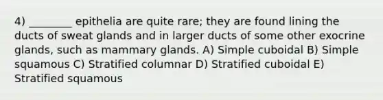 4) ________ epithelia are quite rare; they are found lining the ducts of sweat glands and in larger ducts of some other exocrine glands, such as mammary glands. A) Simple cuboidal B) Simple squamous C) Stratified columnar D) Stratified cuboidal E) Stratified squamous