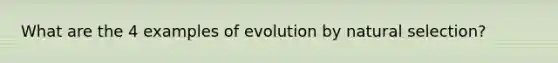 What are the 4 examples of evolution by natural selection?