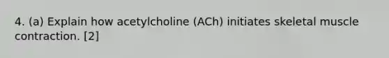 4. (a) Explain how acetylcholine (ACh) initiates skeletal muscle contraction. [2]