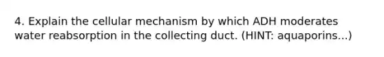 4. Explain the cellular mechanism by which ADH moderates water reabsorption in the collecting duct. (HINT: aquaporins...)