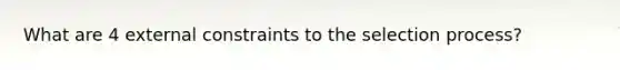 What are 4 external constraints to the selection process?
