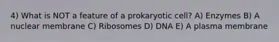 4) What is NOT a feature of a prokaryotic cell? A) Enzymes B) A nuclear membrane C) Ribosomes D) DNA E) A plasma membrane