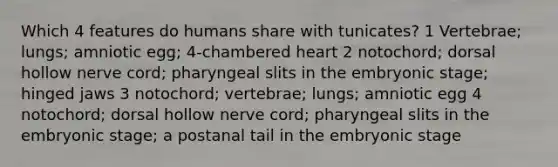 Which 4 features do humans share with tunicates? 1 Vertebrae; lungs; amniotic egg; 4-chambered heart 2 notochord; dorsal hollow nerve cord; pharyngeal slits in the embryonic stage; hinged jaws 3 notochord; vertebrae; lungs; amniotic egg 4 notochord; dorsal hollow nerve cord; pharyngeal slits in the embryonic stage; a postanal tail in the embryonic stage