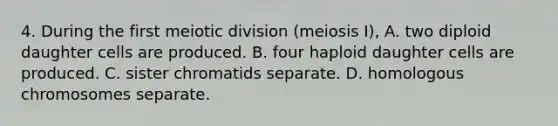 4. During the first meiotic division (meiosis I), A. two diploid daughter cells are produced. B. four haploid daughter cells are produced. C. sister chromatids separate. D. homologous chromosomes separate.