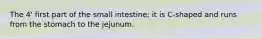 The 4' first part of the small intestine; it is C-shaped and runs from the stomach to the jejunum.